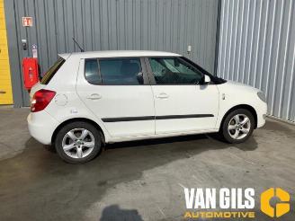 Skoda Fabia  picture 6