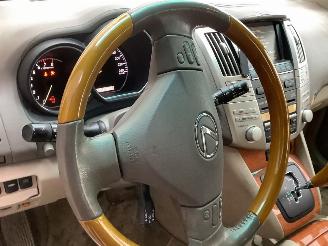 Lexus RX 350 picture 19