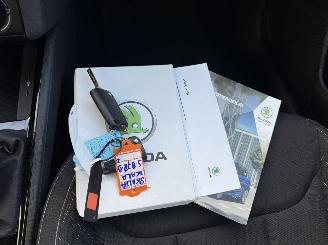 Skoda Scala 1.0 TSI Ambition picture 21