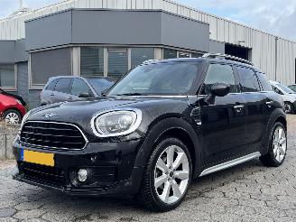 Auto incidentate Mini Countryman 1.5 Chili 2018/9