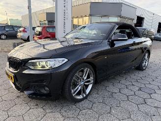 krockskadad bil auto BMW 2-serie Cabrio 220i Centennial High Executive 2016/4