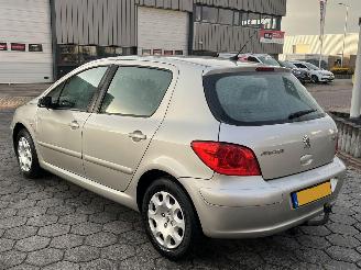 Peugeot 307 1.6-16V XS picture 6