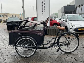 damaged bicycles Overige  Johnny Loco E-Cargo Cruiser 5.3 2017/12