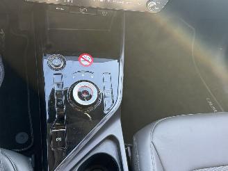 Kia Niro EV DynamicLine 64.8 kWh picture 22