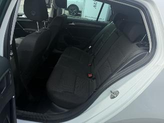 Volkswagen e-Golf 35,8 kWh E-golf picture 10