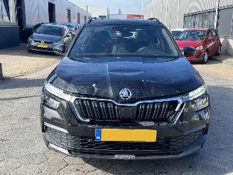 Skoda Kamiq 1.0 TSI Sport Business picture 2