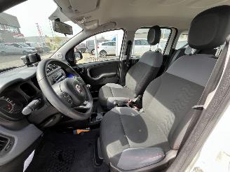Fiat Panda 1.2 Popstar picture 14