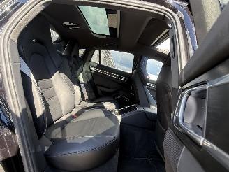Porsche Panamera 4 E-HYBRID 341KW picture 21
