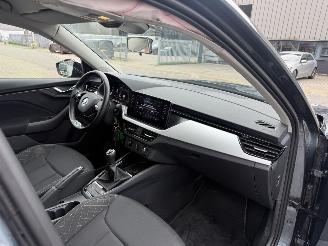 Skoda Kamiq 1.0 TSI Ambition picture 14