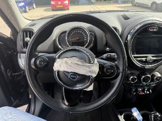 Mini Countryman 1.5 Cooper Dutch Made Edition AUTOMAAT picture 17
