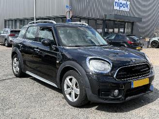 Mini Countryman 1.5 Cooper Dutch Made Edition AUTOMAAT picture 3