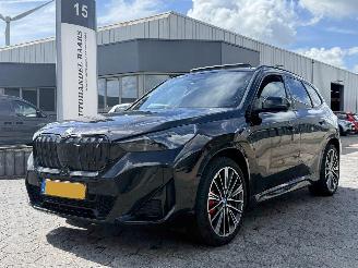 Unfallwagen BMW iX1 xDrive30 67 kWh 2023/8