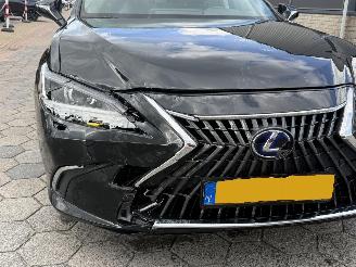 Lexus ES 300h Business Line picture 8