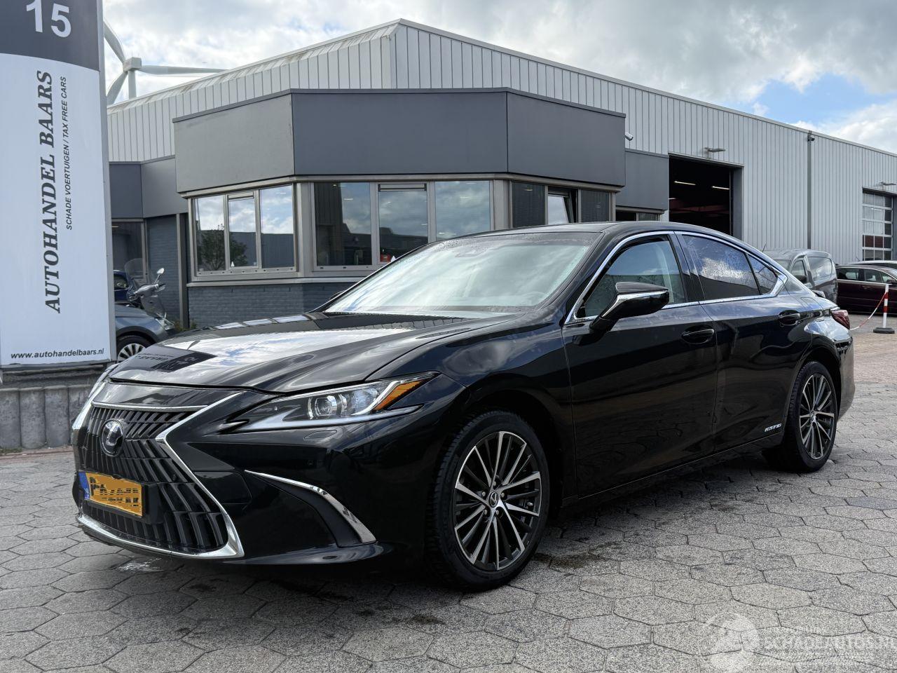 Lexus ES 300h Business Line