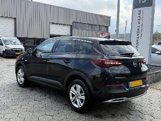 Opel Grandland X 1.2 Turbo Business Executive picture 6