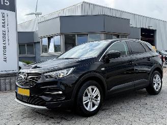 Vaurioauto  passenger cars Opel Grandland X 1.2 Turbo Business Executive 2020/1