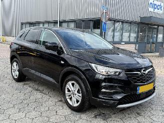 Opel Grandland X 1.2 Turbo Business Executive picture 3