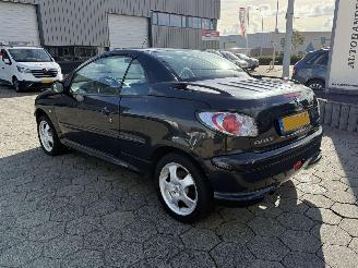 Peugeot 206 CC 1.6-16V picture 6