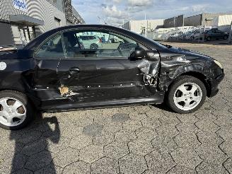 Peugeot 206 CC 1.6-16V picture 21