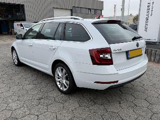 Skoda Octavia Combi 1.0 TSI Greentech Style Business picture 6