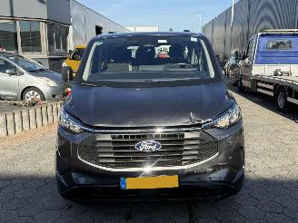 Ford Custom 340 2.5 PHEV L2H1 Trend picture 2