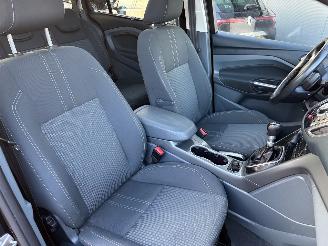 Ford Grand C-Max 1.0 Titanium 7-pers. TREKHAAK PANORAAMA picture 20