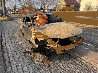 Démontage voiture BMW 1-serie 120i 16V Coupe 2 drs 2013/1