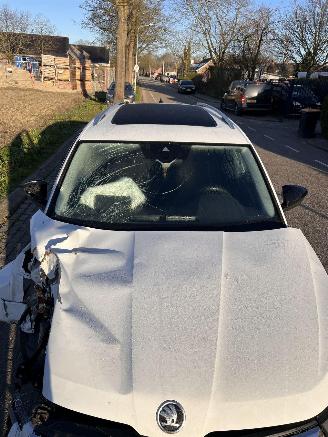 Skoda Kodiaq 1.5 TSi Business Edition 7P picture 9