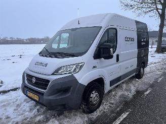 Fiat Ducato 35H 2.3 MultiJet L2H2 picture 2