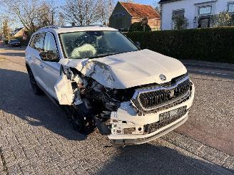 skadebil auto Skoda Kodiaq 1.5 TSi 2022/4