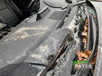 Lexus NX NX I (Z1), SUV, 2014 300h 2.5 16V 4x4 picture 13