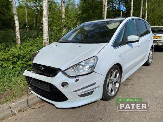 Auto da rottamare Ford S-Max S-Max (GBW), MPV, 2006 / 2014 2.0 Ecoboost 16V 2010/7