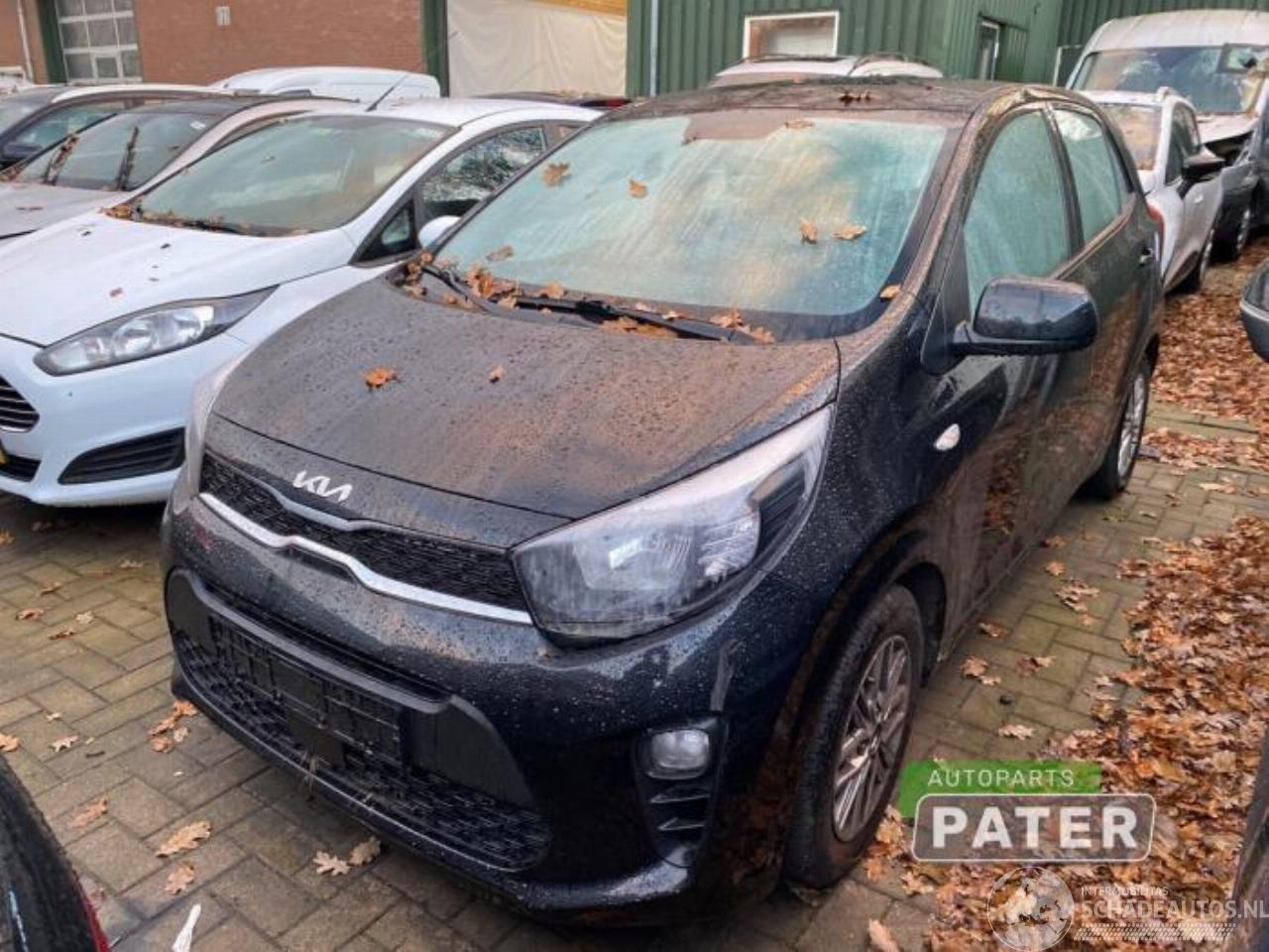 Kia Picanto Picanto (JA), Hatchback, 2017 1.0 DPi 12V