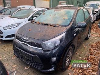 Autoverwertung Kia Picanto Picanto (JA), Hatchback, 2017 1.0 DPi 12V 2023/9