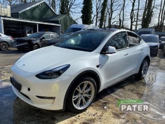 rozbiórka samochody osobowe Tesla Model Y Model Y (5YJY), SUV, 2019 Long Range,Performance 2023/11