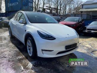 Tesla Model Y Model Y (5YJY), SUV, 2019 Long Range,Performance picture 3