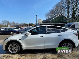 Tesla Model Y Model Y (5YJY), SUV, 2019 Long Range,Performance picture 8