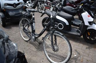 danneggiata biciclette VOGUE Premium  2024/5