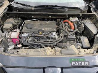 Toyota Rav-4 RAV4 (A5), Terreinwagen, 2018 2.5 Hybrid 16V AWD picture 13