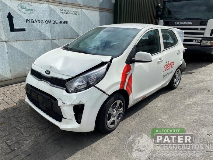 Kia Picanto Picanto (JA), Hatchback, 2017 1.0 DPi 12V