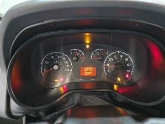 Fiat Doblo Cargo 1.3 M-Jet Maxi picture 21