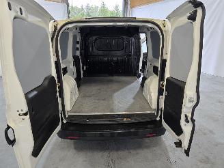 Fiat Doblo Cargo 1.3 M-Jet Maxi picture 18