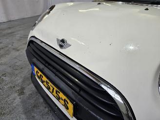 Mini One 1.2 Salt picture 10