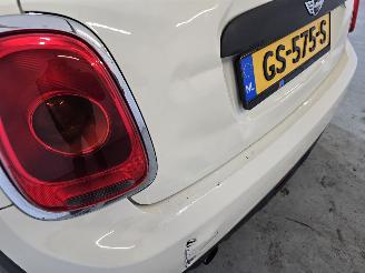 Mini One 1.2 Salt picture 13