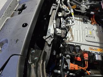 BYD  Atto 2 picture 13