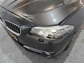 BMW 5-serie 518d Luxury Edition picture 10