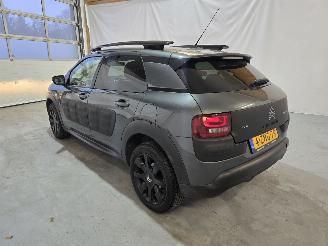 Citroën C4 cactus 1.2 PureTech Shine picture 5