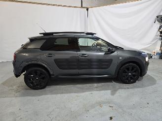 Citroën C4 cactus 1.2 PureTech Shine picture 8