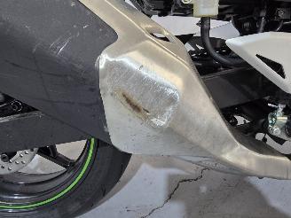 Kawasaki  Ninja 7 Hybrid picture 11