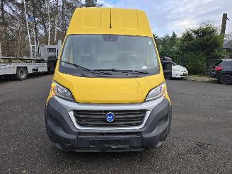 Fiat Ducato bd E-DUCATO picture 2